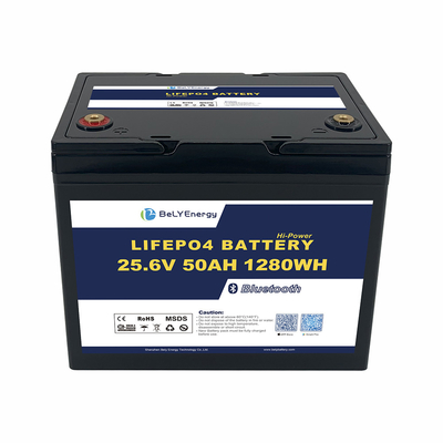OEM ODM ABS Anti-UV باتری کشتی دریایی 24V 50AH باتری لیتیوم LiFePO4 با BT